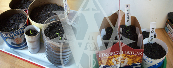 Waterpod™ living systems